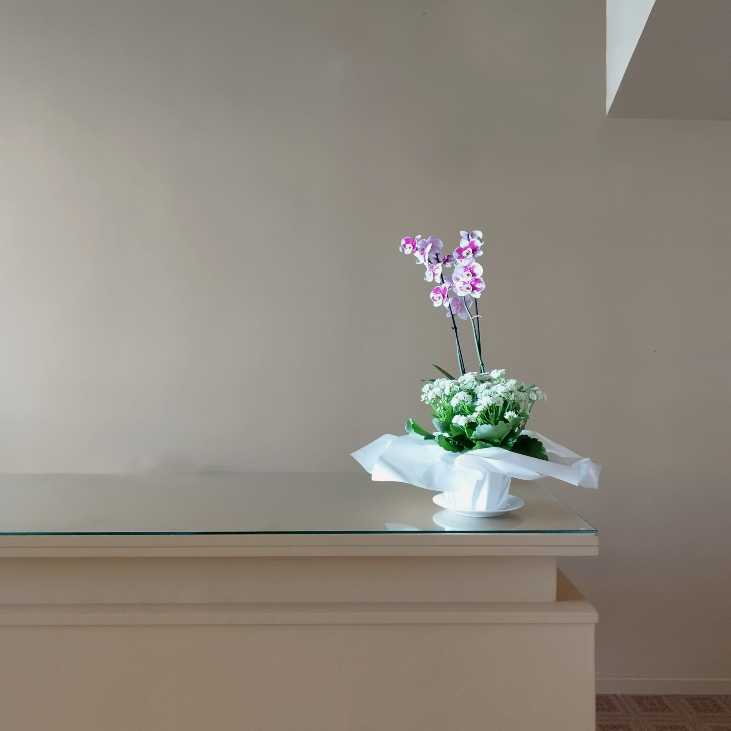 Orchidea in ingresso all'appartamento PhotoWalkTour House
